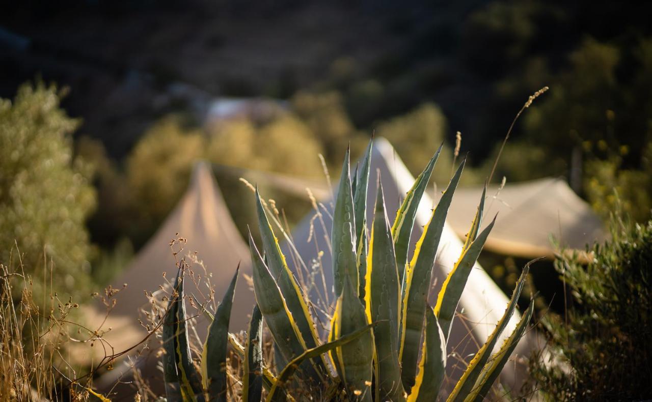 Campo Agave Luxury Tents Sayalonga Exterior photo