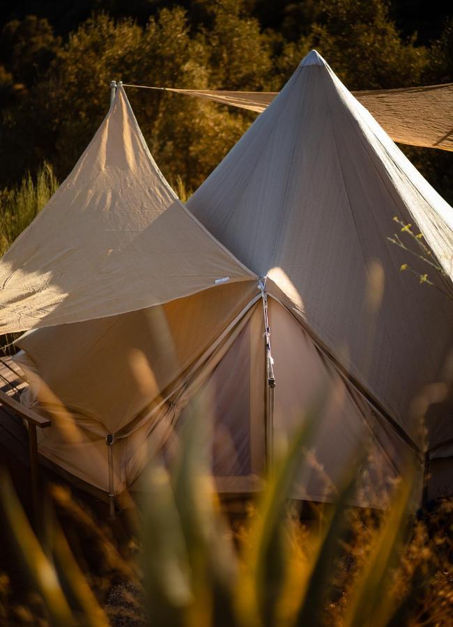 Campo Agave Luxury Tents Sayalonga Exterior photo